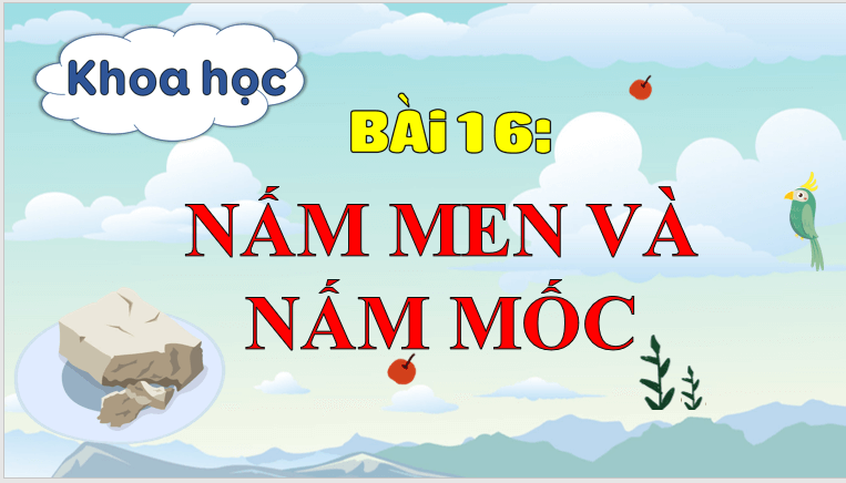 Giáo án điện tử Khoa học lớp 4 Cánh diều Bài 16: Nấm men và nấm mốc | PPT Khoa học 4