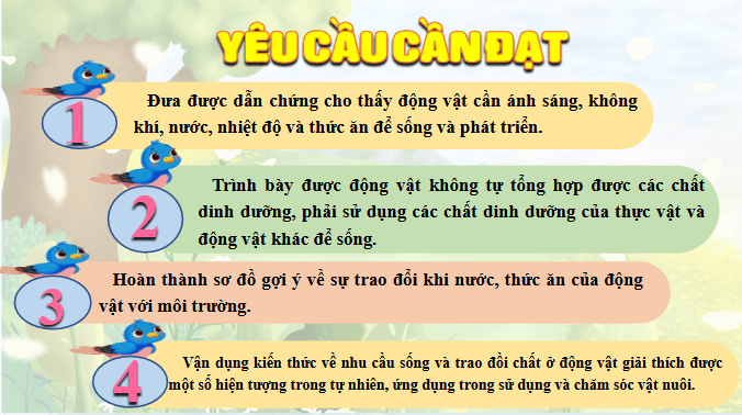 Giáo án điện tử Khoa học lớp 4 Chân trời sáng tạo Bài 16: Nhu cầu sống cửa đông vật | PPT Khoa học 4