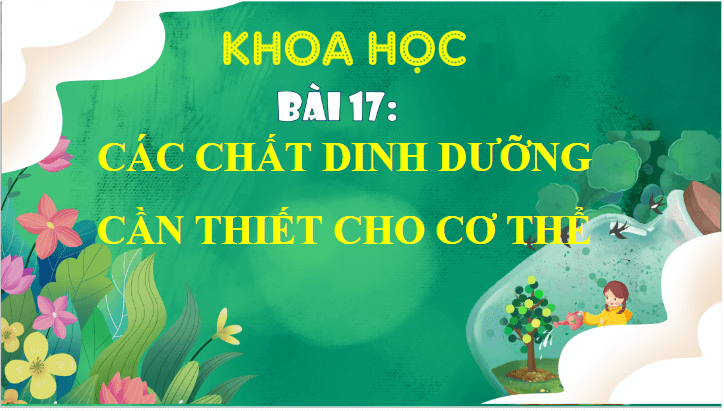 Giáo án điện tử Khoa học lớp 4 Cánh diều Bài 17: Các chất dinh dưỡng cần thiết cho cơ thể | PPT Khoa học 4