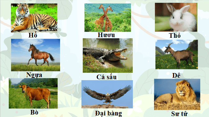 Giáo án điện tử Khoa học lớp 4 Chân trời sáng tạo Bài 17: Chăm sóc cây trồng và vật nuôi | PPT Khoa học 4