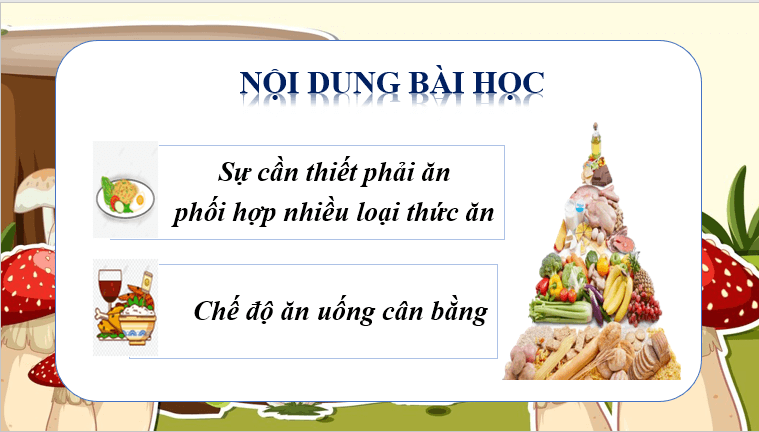 Giáo án điện tử Khoa học lớp 4 Cánh diều Bài 18: Chế độ ăn uống | PPT Khoa học 4