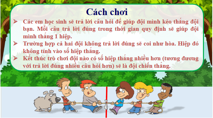 Giáo án điện tử Khoa học lớp 4 Chân trời sáng tạo Bài 18: Ôn tập chủ đề thực vật và động vật | PPT Khoa học 4