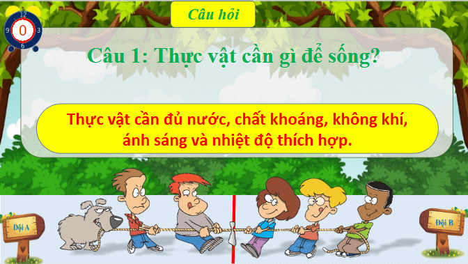 Giáo án điện tử Khoa học lớp 4 Chân trời sáng tạo Bài 18: Ôn tập chủ đề thực vật và động vật | PPT Khoa học 4