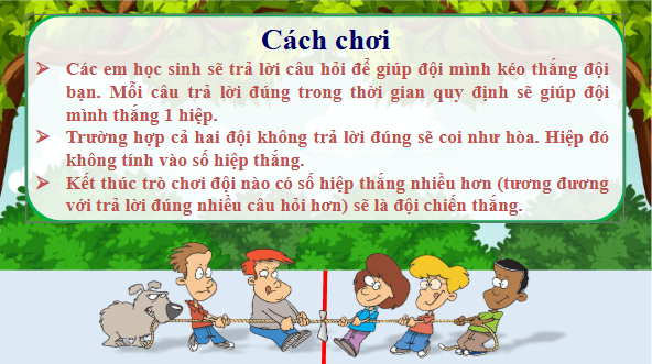 Giáo án điện tử Khoa học lớp 4 Kết nối tri thức Bài 18: Ôn tập chủ đề thực vật và động vật | PPT Khoa học 4