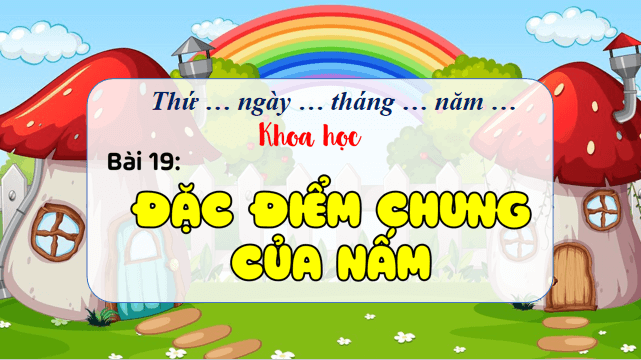 Giáo án điện tử Khoa học lớp 4 Kết nối tri thức Bài 19: Đặc điểm chung của nấm | PPT Khoa học 4