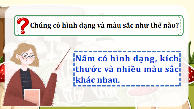 Giáo án điện tử Khoa học lớp 4 Kết nối tri thức Bài 19: Đặc điểm chung của nấm | PPT Khoa học 4