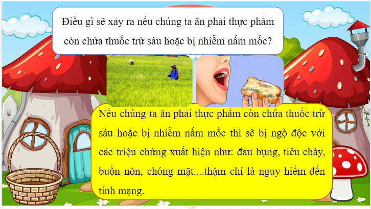 Giáo án điện tử Khoa học lớp 4 Cánh diều Bài 19: Thực phẩm an toàn | PPT Khoa học 4