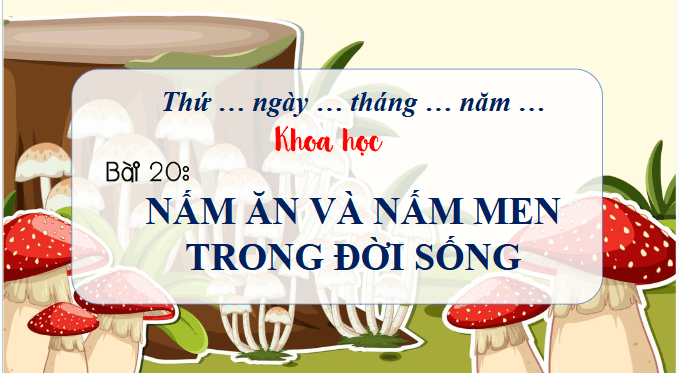 Giáo án điện tử Khoa học lớp 4 Chân trời sáng tạo Bài 20: Nấm ăn và nấm men trong đời sống | PPT Khoa học 4