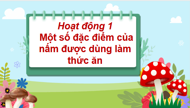 Giáo án điện tử Khoa học lớp 4 Chân trời sáng tạo Bài 20: Nấm ăn và nấm men trong đời sống | PPT Khoa học 4
