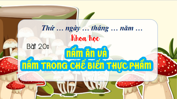 Giáo án điện tử Khoa học lớp 4 Kết nối tri thức Bài 20: Nấm ăn và nấm trong chế biến thực phẩm | PPT Khoa học 4