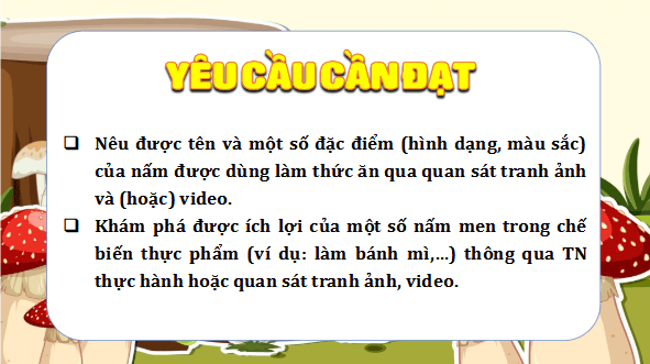 Giáo án điện tử Khoa học lớp 4 Kết nối tri thức Bài 20: Nấm ăn và nấm trong chế biến thực phẩm | PPT Khoa học 4