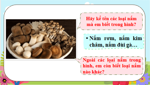 Giáo án điện tử Khoa học lớp 4 Kết nối tri thức Bài 20: Nấm ăn và nấm trong chế biến thực phẩm | PPT Khoa học 4