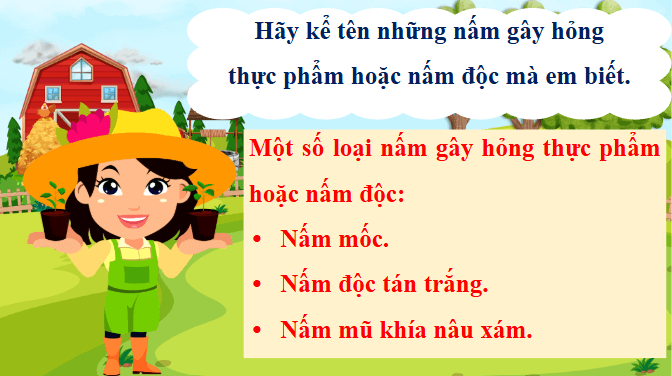 Giáo án điện tử Khoa học lớp 4 Chân trời sáng tạo Bài 21: Nấm có hại và cách bảo quản thực phẩm | PPT Khoa học 4