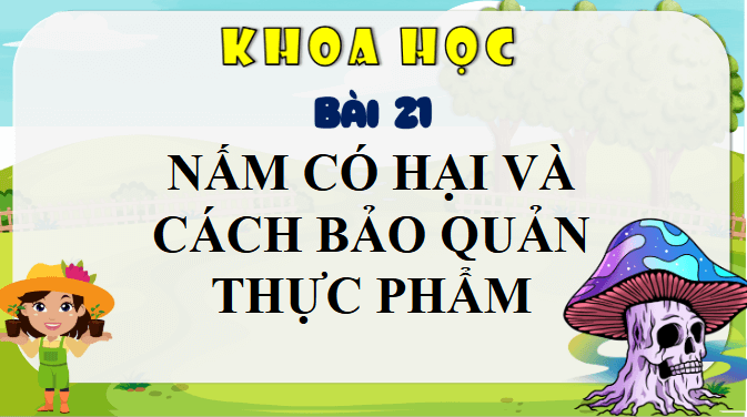 Giáo án điện tử Khoa học lớp 4 Chân trời sáng tạo Bài 21: Nấm có hại và cách bảo quản thực phẩm | PPT Khoa học 4