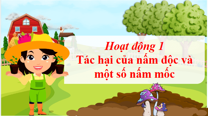Giáo án điện tử Khoa học lớp 4 Chân trời sáng tạo Bài 21: Nấm có hại và cách bảo quản thực phẩm | PPT Khoa học 4