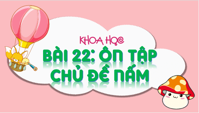 Giáo án điện tử Khoa học lớp 4 Chân trời sáng tạo Bài 22: Ôn tập chủ đề nấm | PPT Khoa học 4