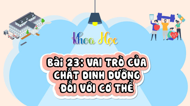 Giáo án điện tử Khoa học lớp 4 Kết nối tri thức Bài 23: Vai trò của chất dinh dưỡng với cơ thể | PPT Khoa học 4