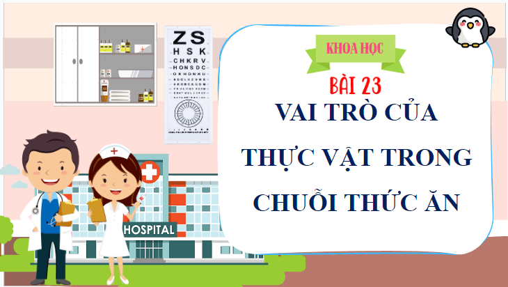 Giáo án điện tử Khoa học lớp 4 Cánh diều Bài 23: Vai trò của thực vật trong chuỗi thức ăn | PPT Khoa học 4