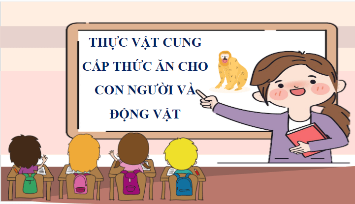 Giáo án điện tử Khoa học lớp 4 Cánh diều Bài 23: Vai trò của thực vật trong chuỗi thức ăn | PPT Khoa học 4