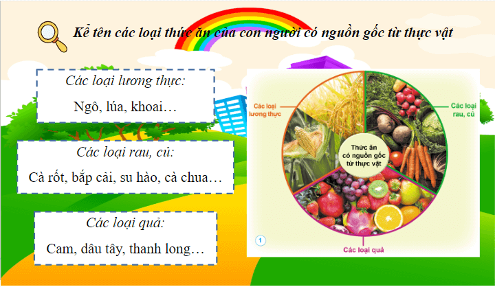 Giáo án điện tử Khoa học lớp 4 Cánh diều Bài 23: Vai trò của thực vật trong chuỗi thức ăn | PPT Khoa học 4