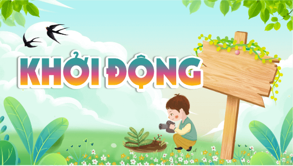 Giáo án điện tử Khoa học lớp 4 Kết nối tri thức Bài 29: Chuỗi thức ăn trong tự nhiên | PPT Khoa học 4
