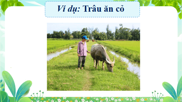Giáo án điện tử Khoa học lớp 4 Kết nối tri thức Bài 29: Chuỗi thức ăn trong tự nhiên | PPT Khoa học 4
