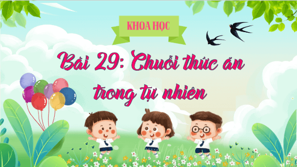 Giáo án điện tử Khoa học lớp 4 Kết nối tri thức Bài 29: Chuỗi thức ăn trong tự nhiên | PPT Khoa học 4