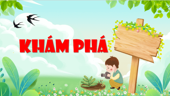 Giáo án điện tử Khoa học lớp 4 Kết nối tri thức Bài 29: Chuỗi thức ăn trong tự nhiên | PPT Khoa học 4