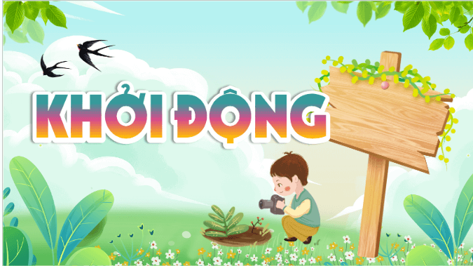 Giáo án điện tử Khoa học lớp 4 Chân trời sáng tạo Bài 30: Chuỗi thức ăn trong tự nhiên | PPT Khoa học 4