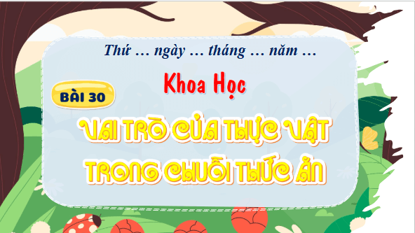 Giáo án điện tử Khoa học lớp 4 Kết nối tri thức Bài 30: Vai trò của thực vật trong chuỗi thức ăn | PPT Khoa học 4
