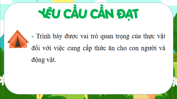 Giáo án điện tử Khoa học lớp 4 Kết nối tri thức Bài 30: Vai trò của thực vật trong chuỗi thức ăn | PPT Khoa học 4