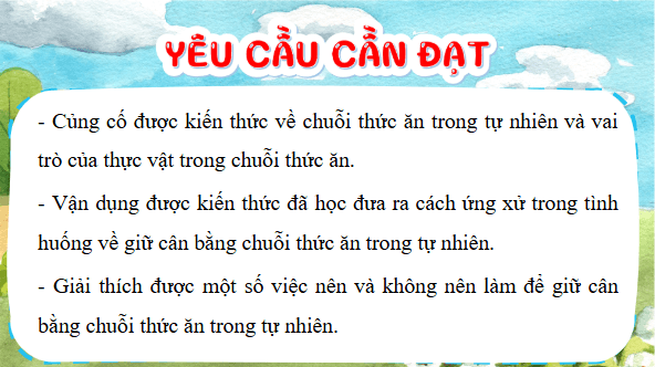 Giáo án điện tử Khoa học lớp 4 Kết nối tri thức Bài 31: Ôn tập chủ đề sinh vật và môi trường | PPT Khoa học 4