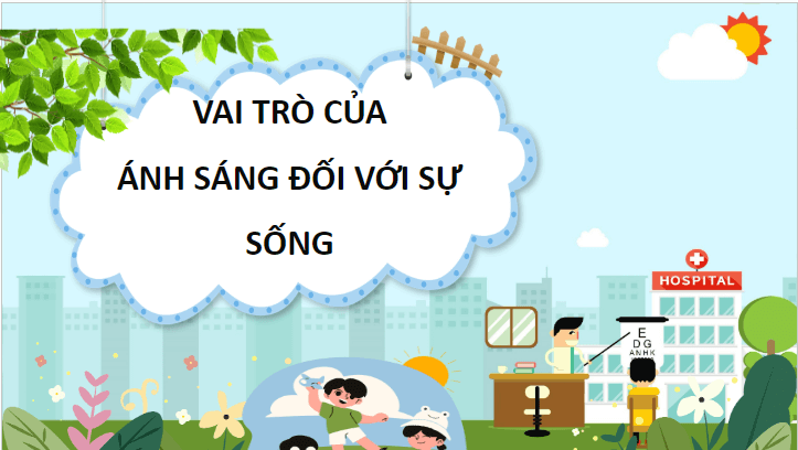 Giáo án điện tử Khoa học lớp 4 Cánh diều Bài 8: Ánh sáng trong đời sống | PPT Khoa học 4
