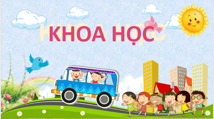 Giáo án điện tử Khoa học lớp 4 Cánh diều Ôn tập chủ đề Chất | PPT Khoa học 4
