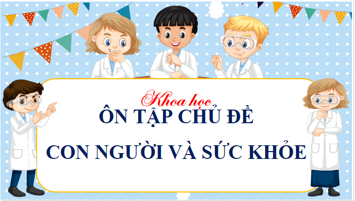 Giáo án điện tử Khoa học lớp 4 Cánh diều Ôn tập chủ đề Con người và sức khỏe | PPT Khoa học 4