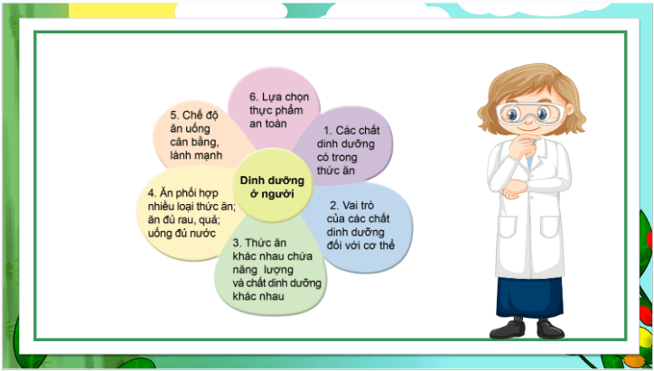 Giáo án điện tử Khoa học lớp 4 Cánh diều Ôn tập chủ đề Con người và sức khỏe | PPT Khoa học 4