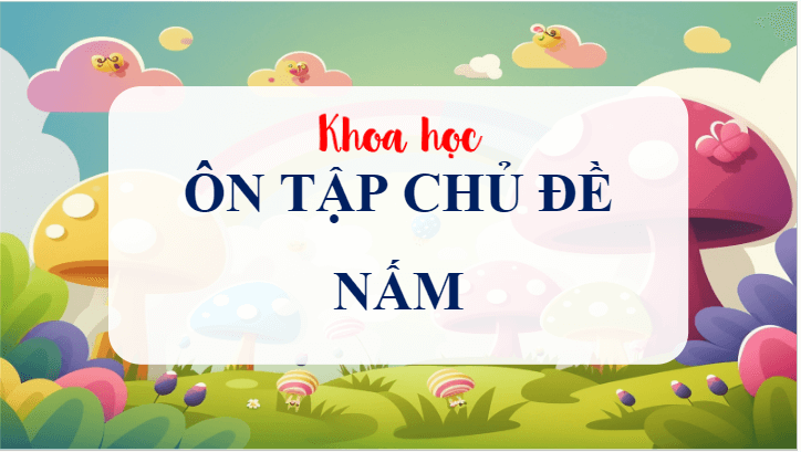 Giáo án điện tử Khoa học lớp 4 Cánh diều Ôn tập chủ đề Nấm | PPT Khoa học 4