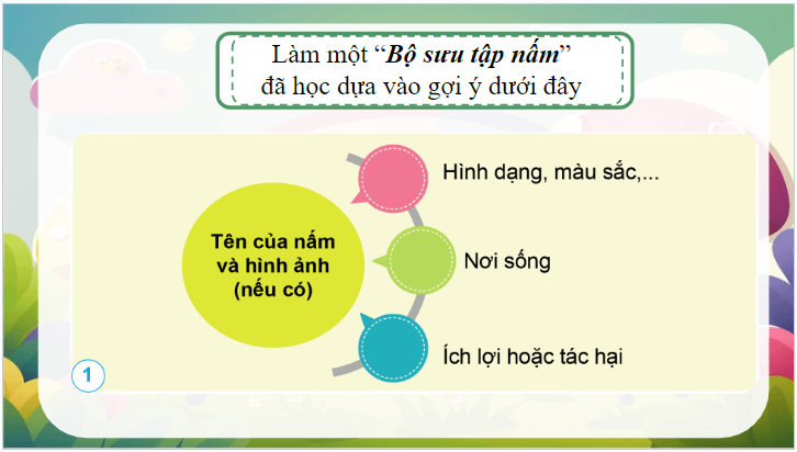 Giáo án điện tử Khoa học lớp 4 Cánh diều Ôn tập chủ đề Nấm | PPT Khoa học 4