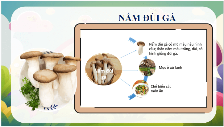 Giáo án điện tử Khoa học lớp 4 Cánh diều Ôn tập chủ đề Nấm | PPT Khoa học 4