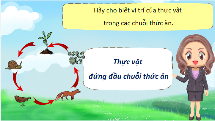 Giáo án điện tử Khoa học lớp 4 Cánh diều Ôn tập chủ đề Sinh vật và môi trường | PPT Khoa học 4