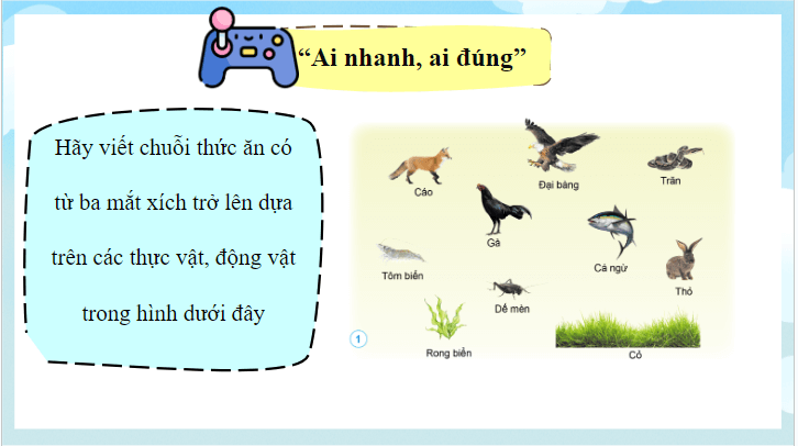 Giáo án điện tử Khoa học lớp 4 Cánh diều Ôn tập chủ đề Sinh vật và môi trường | PPT Khoa học 4
