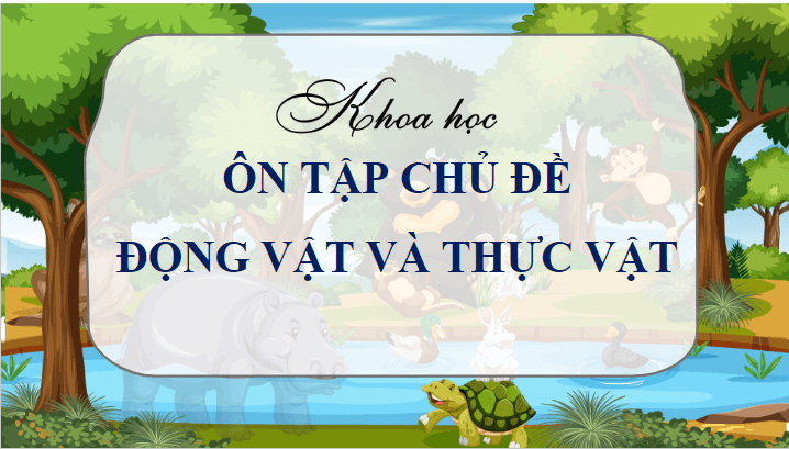 Giáo án điện tử Khoa học lớp 4 Cánh diều Ôn tập chủ đề Thực vật và động vật | PPT Khoa học 4