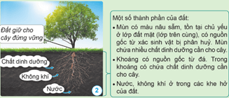 Giáo án Khoa học lớp 5 Cánh diều Bài 1: Đất và bảo vệ môi trường đất