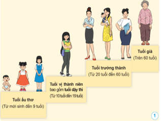 Giáo án Khoa học lớp 5 Cánh diều Bài 16: Quá trình phát triển của con người