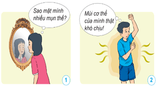 Giáo án Khoa học lớp 5 Cánh diều Bài 17: Chăm sóc và bảo vệ sức khỏe tuổi dậy thì