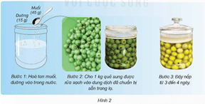Giáo án Khoa học lớp 5 Kết nối tri thức Bài 19: Vi khuẩn có ích trong chế biến thực phẩm
