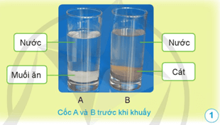 Giáo án Khoa học lớp 5 Cánh diều Bài 2: Hỗn hợp và dung dịch