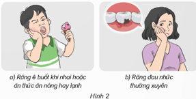 Giáo án Khoa học lớp 5 Kết nối tri thức Bài 20: Vi khuẩn gây bệnh ở người và cách phòng tránh