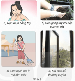 Giáo án Khoa học lớp 5 Kết nối tri thức Bài 21: Ôn tập chủ đề Vi khuẩn