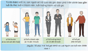 Giáo án Khoa học lớp 5 Kết nối tri thức Bài 23: Các giai đoạn phát triển chính của con người